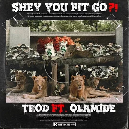 Trod – Shey You Fit Go ft Olamide Naijahotstars