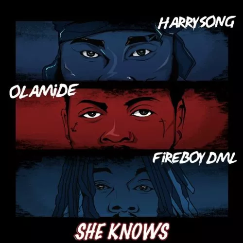 Harrysong – She Knows ft Fireboy DML & Olamide