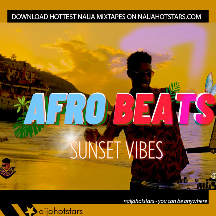 Dj Stylez - Afrobeat Mix 2023 Mixtape Download