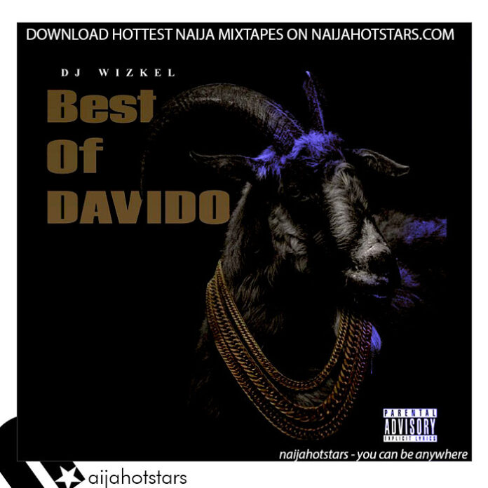 Dj Wizkel - Best Of Davido 2022 Mixtape Download
