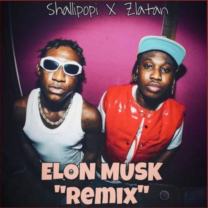 Shallipopi Ft. Zlatan – Elon Musk (Remix) Lyrics